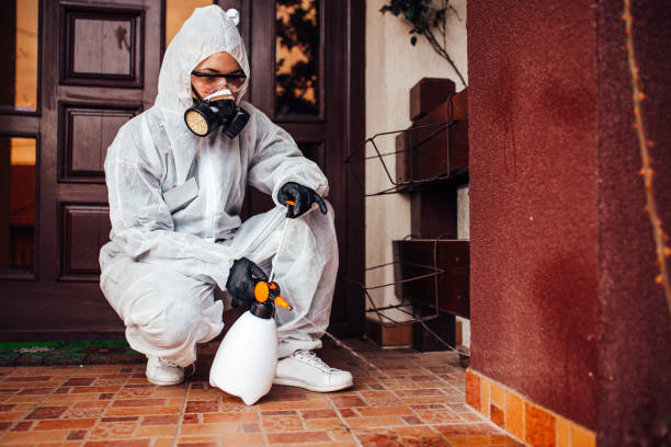 Reliable Cockroach Control contractor in Hurlock, MD by Nex Pest Control